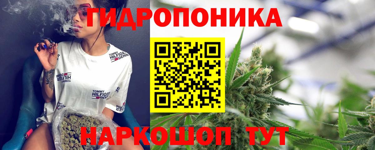 Конопля планчик Отрадное